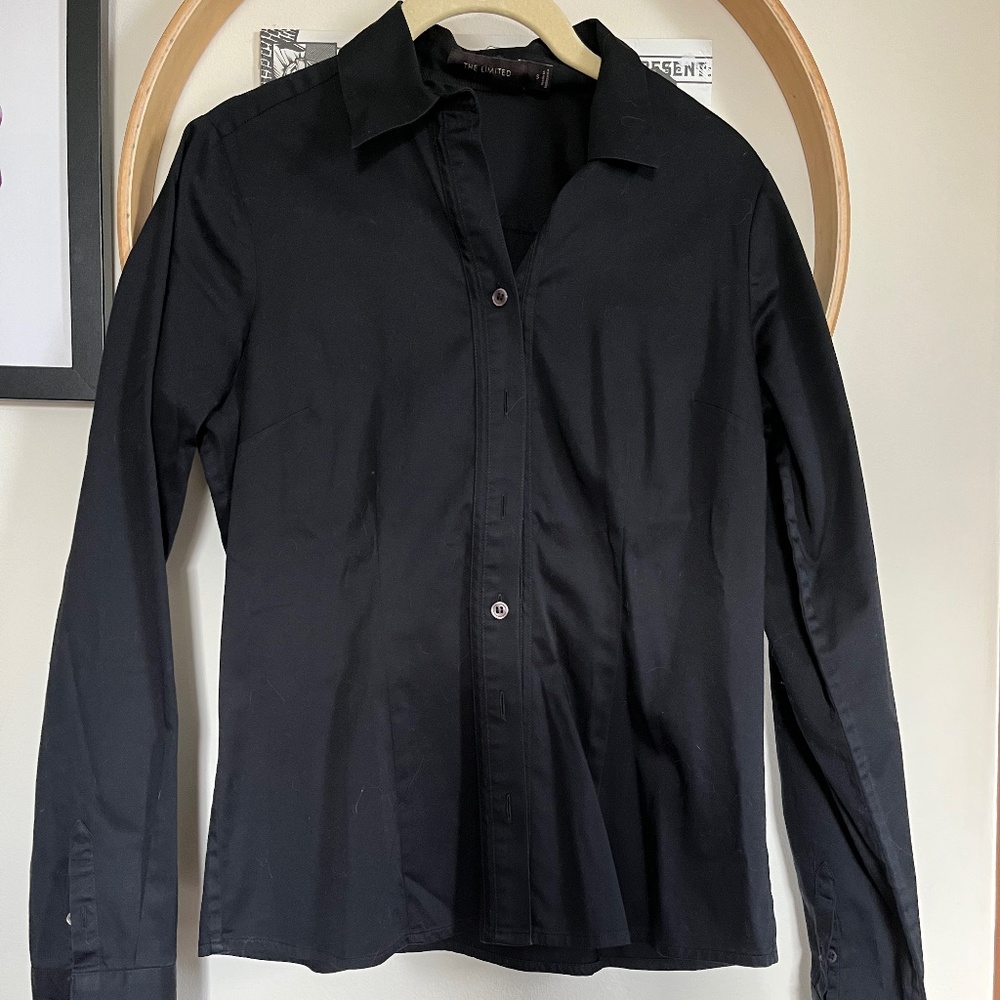 The Limited Blouse